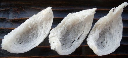 Есть такие птички- саланганы. Из своей слюны гнезда делают. Так в Китае из этих гнездышек еще и суп варят.
Ну про бородатых женщин вообще можно говорить много....