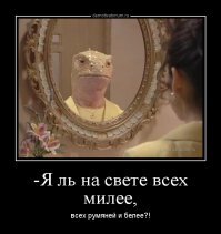 Белый скарабей: Существо, которое белее, чем белый цвет! Как же это возможно?