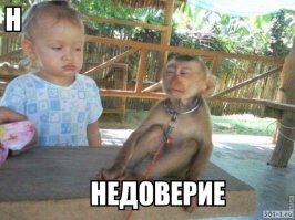 Смешные картинки из соц сетей