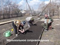 "Музыкальное сопровождение - пианист Ради-мемов!"