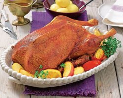 Бетси отдала свое пернатое чадо людям, которые точно о нем позаботятся.