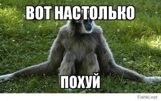 "Изуродовали себя!": отечественные звезды - жертвы неудачной пластики и подтяжки лица