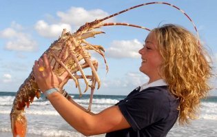 Собутыльничек.