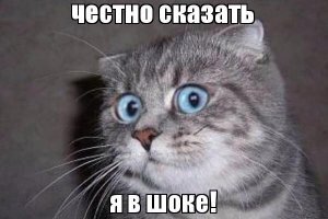 Компания Samsung создала упаковку для телевизора, из которой можно сделать кошачий домик