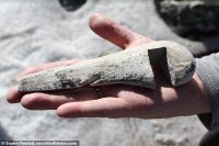 Ключ на 13, уже тогда без него никуда