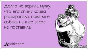 Скрины из социальных сетей