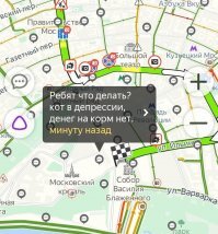 Россияне устроили по всей стране онлайн-митинг против самоизоляции