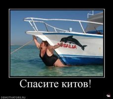 Смешные картинки