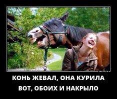Смешные картинки
