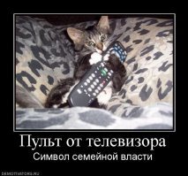 Смешные картинки