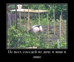 Смешные картинки