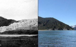 За 100 лет всё лесом поросло. Ледник не только тает, а и постоянно движется. Там камень на камне, плодородного слоя быть не может.