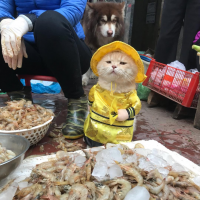 Смешные картинки