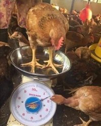 А мне фитнес-центр понравился: