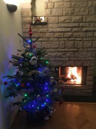 Просто видать не отравлялись угарным газом . У меня уже есть опыт , даже симптомы помню по сей день . Я если камин разжигаю все равно или балконные окна подняты или где то на кухне . Что бы больше вентиляции было .