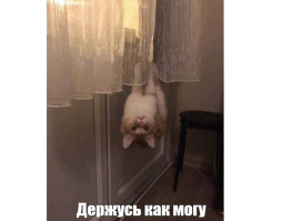 Смешные картинки