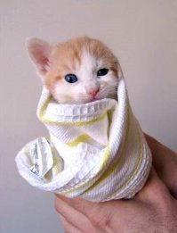 До и после усыновления