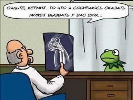 15 наиглупейших ситуаций, которые ставят шах и мат здравому смыслу