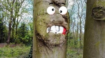 Пфёлы - это полофатые флые фуки