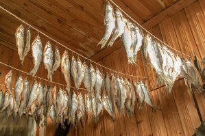 А вот мои мохтики. Месяц в соли, два дня вымачиваешь, сушишь и кайфуешь.