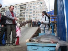 В Питере вообще надо осторожно к воде подходить. Особенно к Неве, сунул руку в воду, а там...
На фото Октябрьская набережная если что, акула проплыла через весь город)