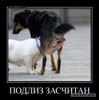 Выбор простой и сложный: по каким причинам Ельцин выбрал Путина своим преемником?