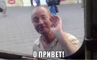 Прогуливающаяся по дивану кошка забавно поприветствовала хозяина