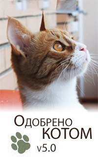 Уличный художник Том Бланко разукрасил цистерну, превратив её в гигантского реалистичного сфинкса
