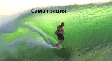 Смешные картинки