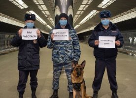 Всенародная любовь к силовым структурам...