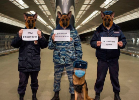 Всенародная любовь к силовым структурам...