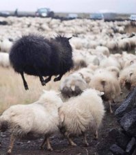 Ударим позитивом по... негативу!