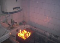 Газетой застелили.  А потом удивляются премии Дарвина.