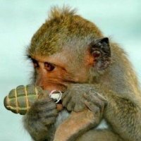 ДТП в Анапе: женщина отчаянно повернула налево