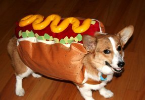 Это не хот-дог , вот они :