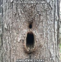 Смешные картинки