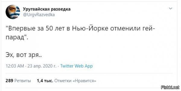 "Паники нет, завалов нет, морга в парке тоже нет!": Макс Покровский рассказал о самоизоляции в США