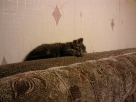 7 лет разницы. Куплена у метро за 700 рублей.
