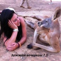 Дак вот кто Австралию поджёг!!