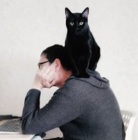 У нас тоже есть одна шкода - Чернышом зовут: беспорядки может круглосутчно наводить. Когда устаёт бардак устраивать, приходит ко мне или к супругу на плечи отдыхать.