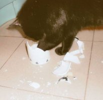 У нас тоже есть одна шкода - Чернышом зовут: беспорядки может круглосутчно наводить. Когда устаёт бардак устраивать, приходит ко мне или к супругу на плечи отдыхать.