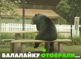 Маша не пришла...