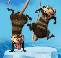 Кто ж такую милоту ест?