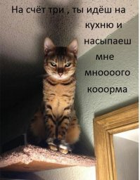 Прикольные и смешные картинки