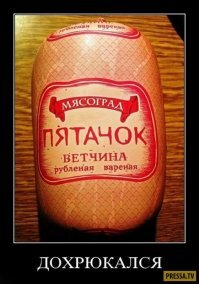 Прикольные и смешные картинки