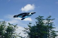 Прикольные и смешные картинки