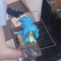 Где, мля, классика???