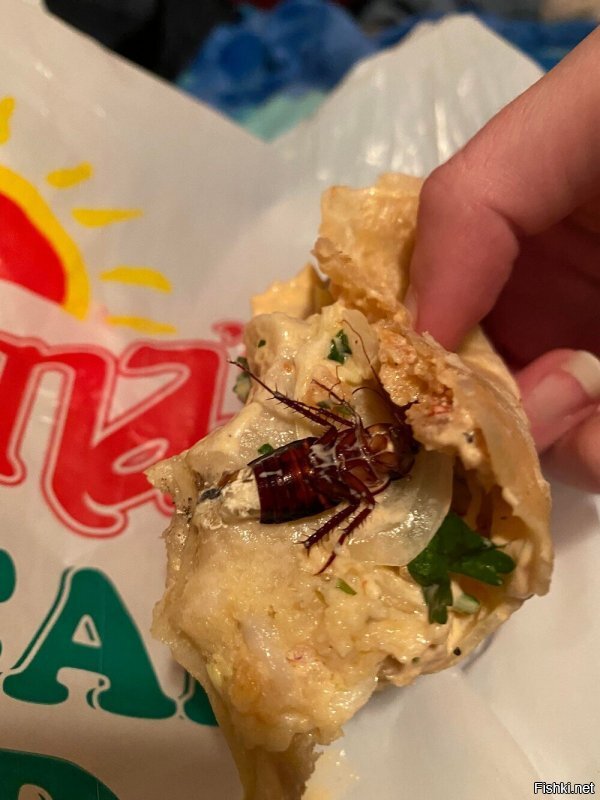 - Что может быть хуже таракана в надкусанной еде?
 - Половина таракана.
