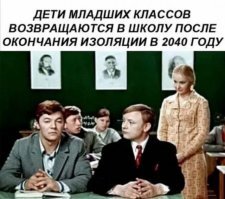 Прикольные и смешные картинки