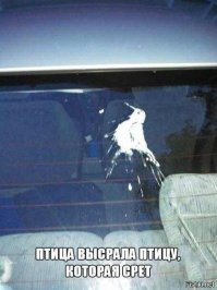 Смешные картинки